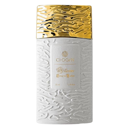 Olfazeta Nr. 067 – Extrait de Parfum – Damen – 30% Duftessenz